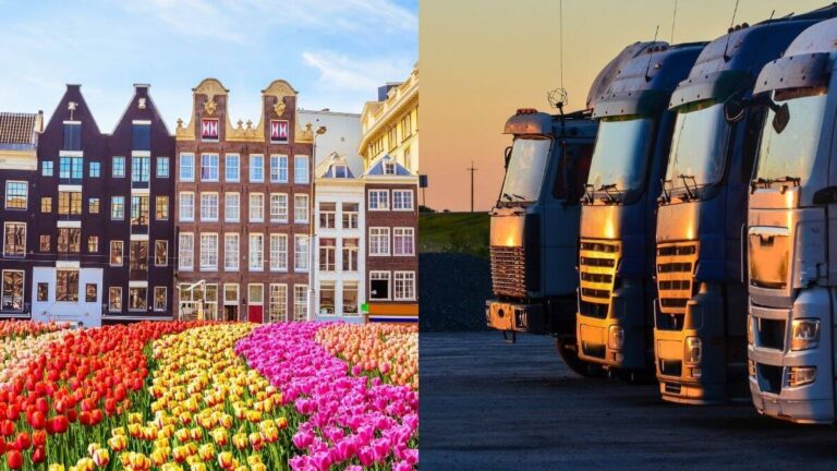 Türkiye – Hollanda Nakliye Hizmeti
